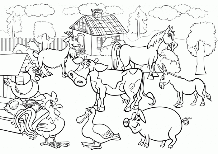 Farm animal coloring pictures