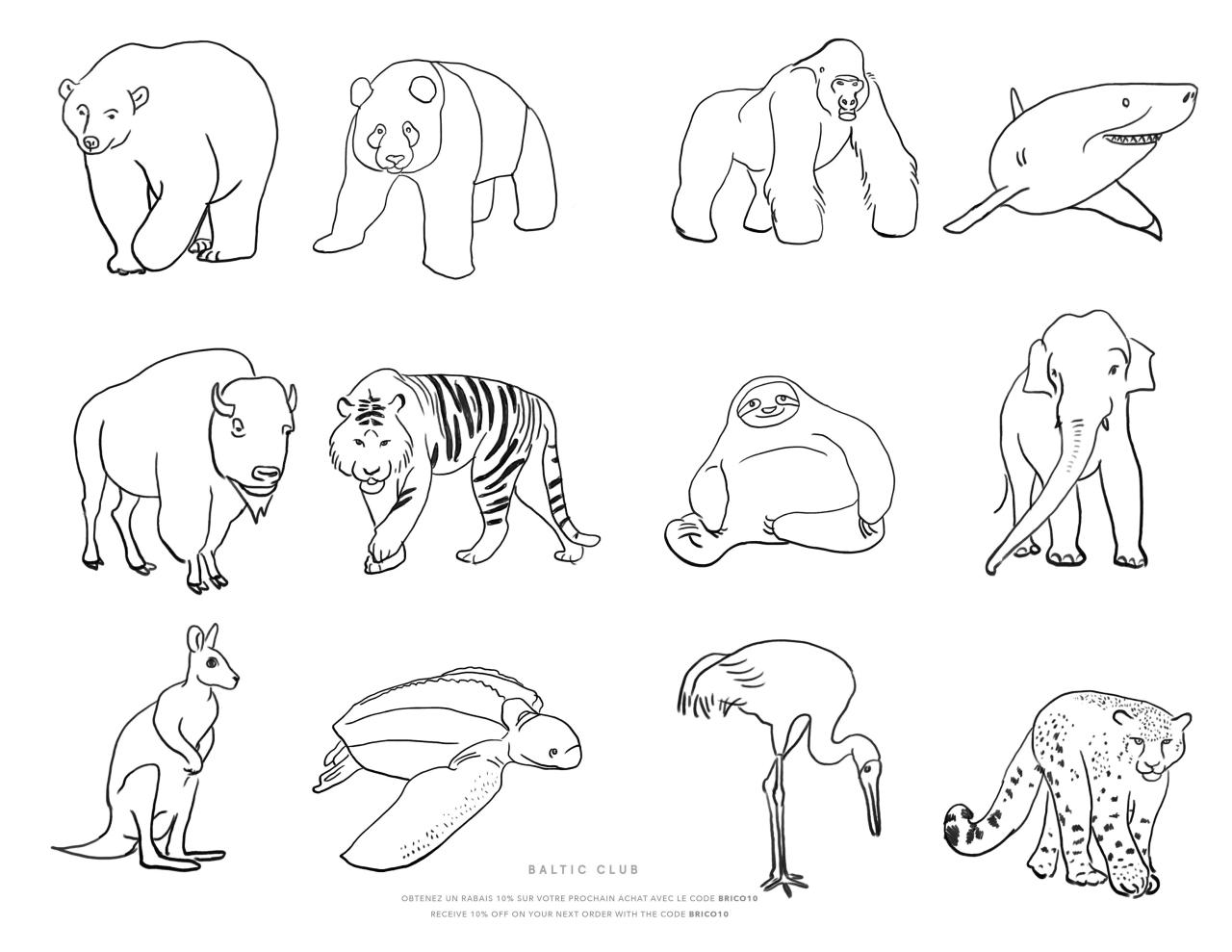 Endangered animals of hawaii coloring book