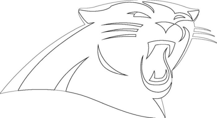 Carolina panthers coloring book