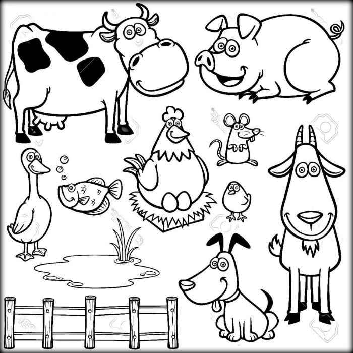 Animal coloring pictures pdf