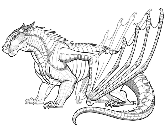 Coloring pages of animated dragons