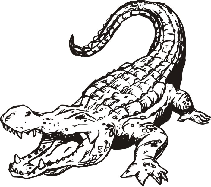 Animal alligator coloring pages