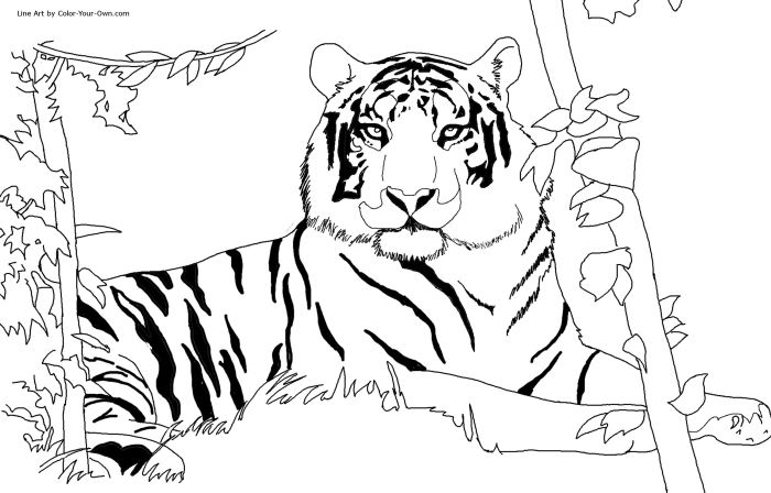 Easy coloring pages of cute animals tiger