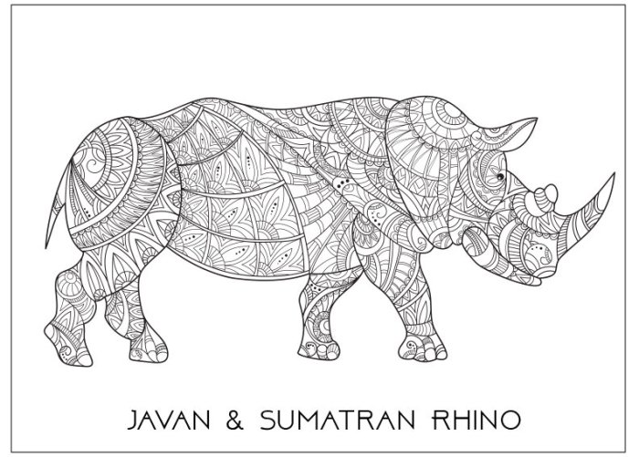 Endangered animals of hawaii coloring book