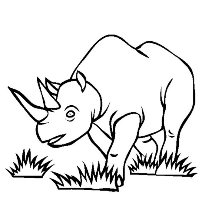 Easy animal coloring pages rino