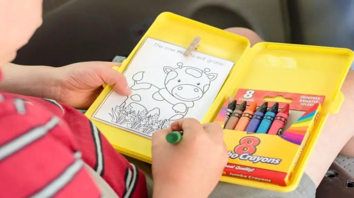 Coloring book travel case