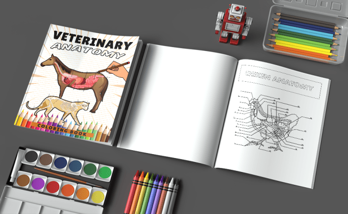 Canine anatomy coloring book