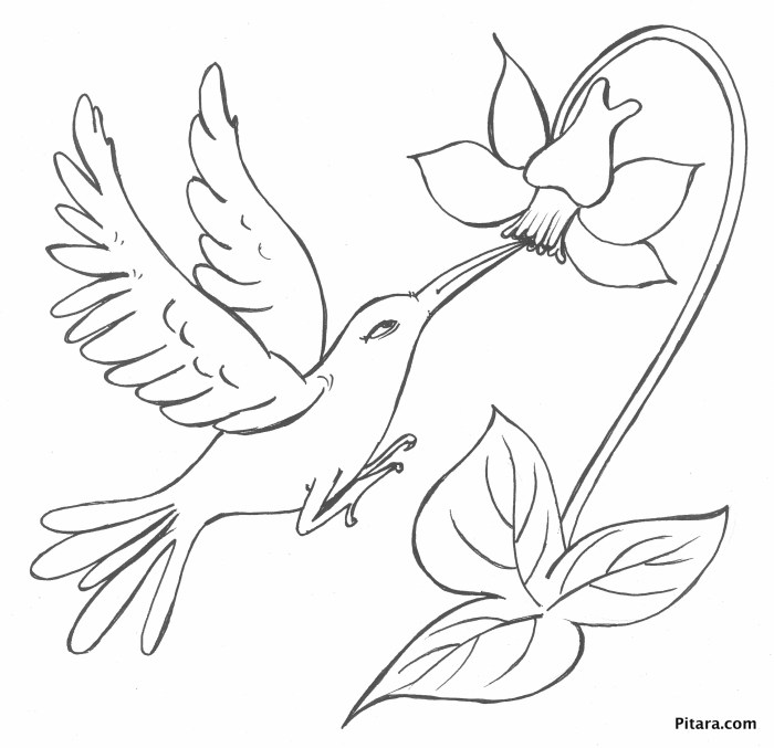 Birds and blooms coloring book