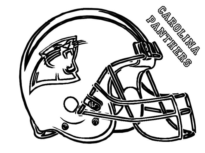 Carolina panthers coloring book