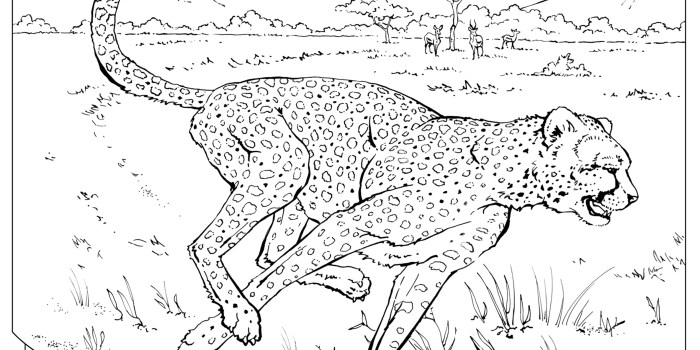 Hidden animal camouflage coloring pages printable