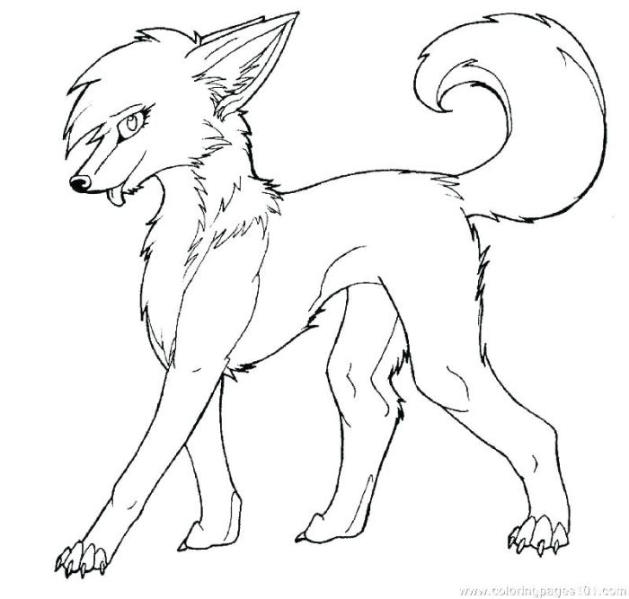 Fire wolf anime wolf coloring pages