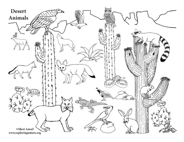 Desert oasis animals coloring pages