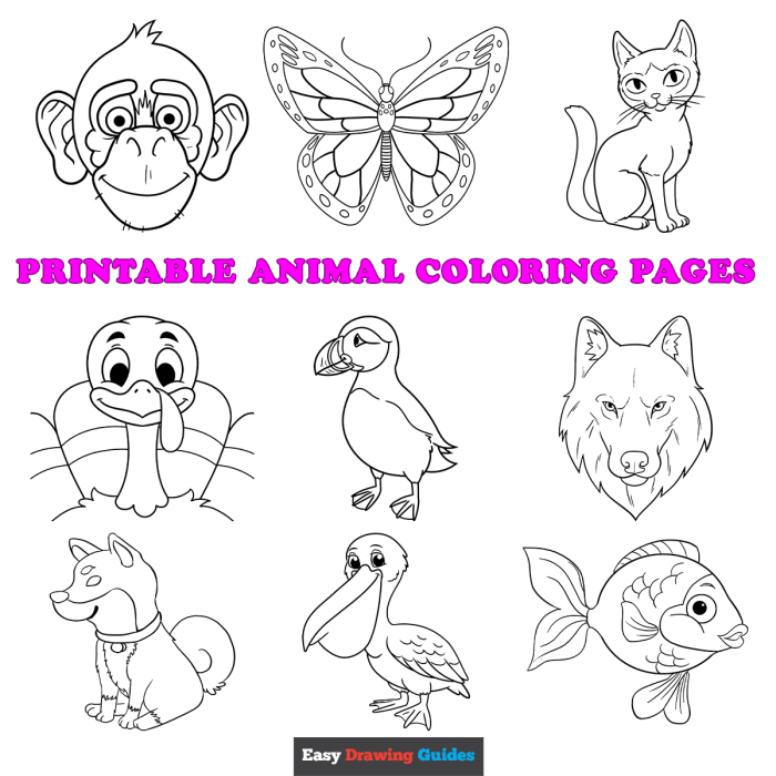 Coloring animal pages for printing