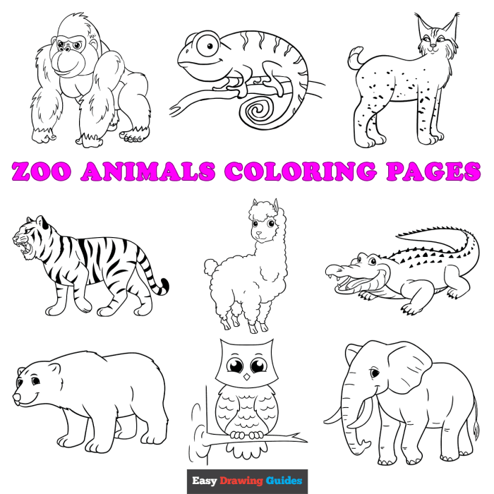 Everyone loves coloring animals coloring pages