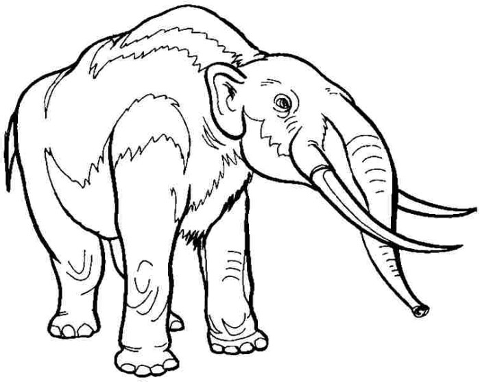 Extinct animal coloring page