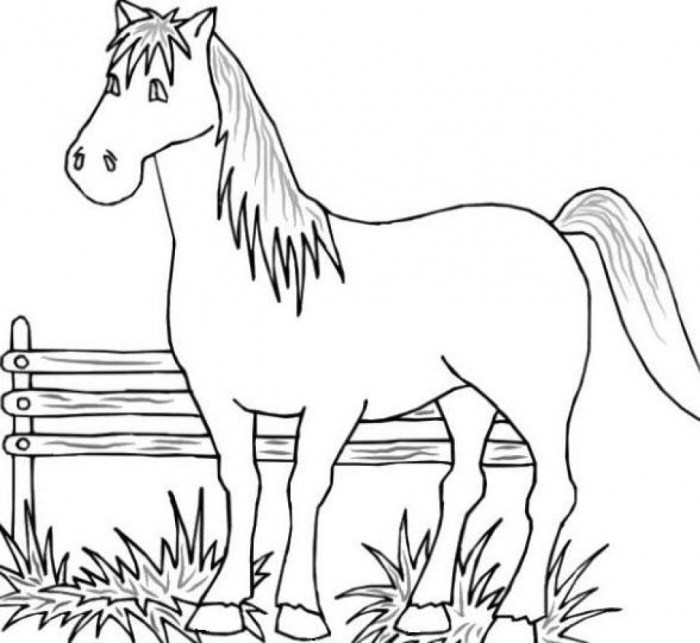 Free coloring pictures of farm animals