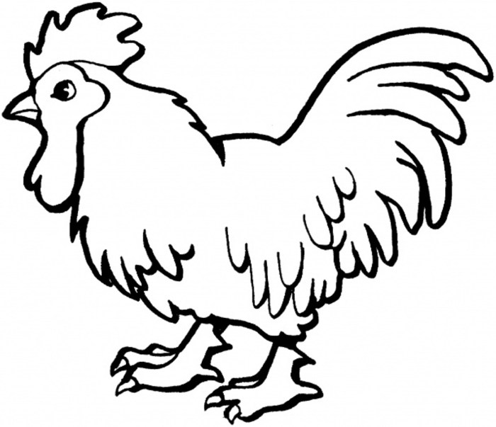 Coloring pages baby farm animals