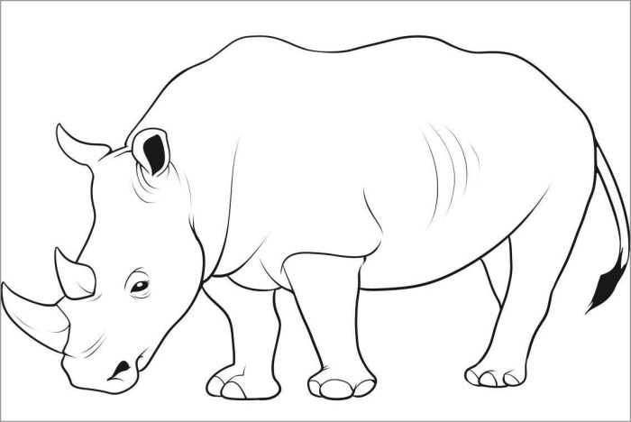 Easy animal coloring pages rino