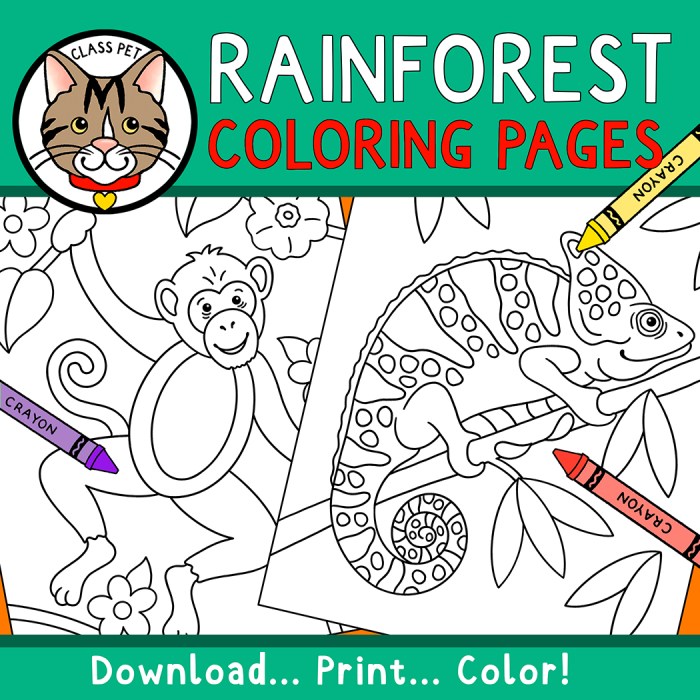 Coloring pictures of rainforest animals