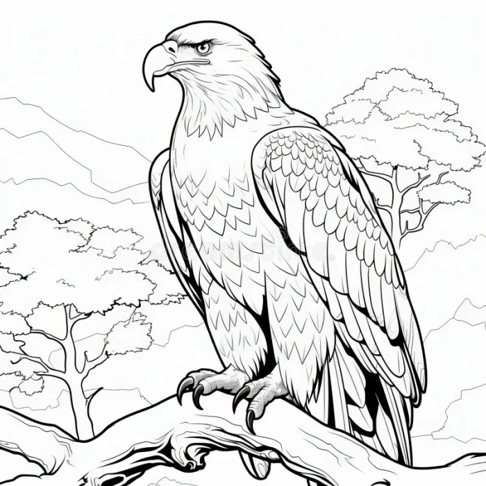 Realistic animal coloring pictures