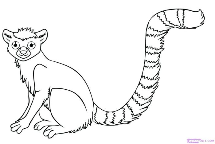 Coloring pictures of rainforest animals